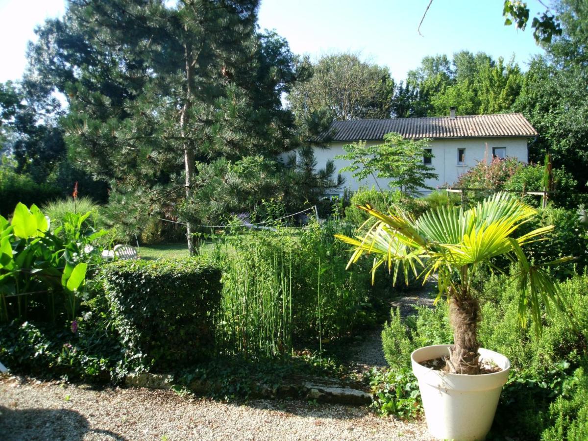 Le Chalet Du Bord De L'Eau Sainte-Terre Exteriér fotografie